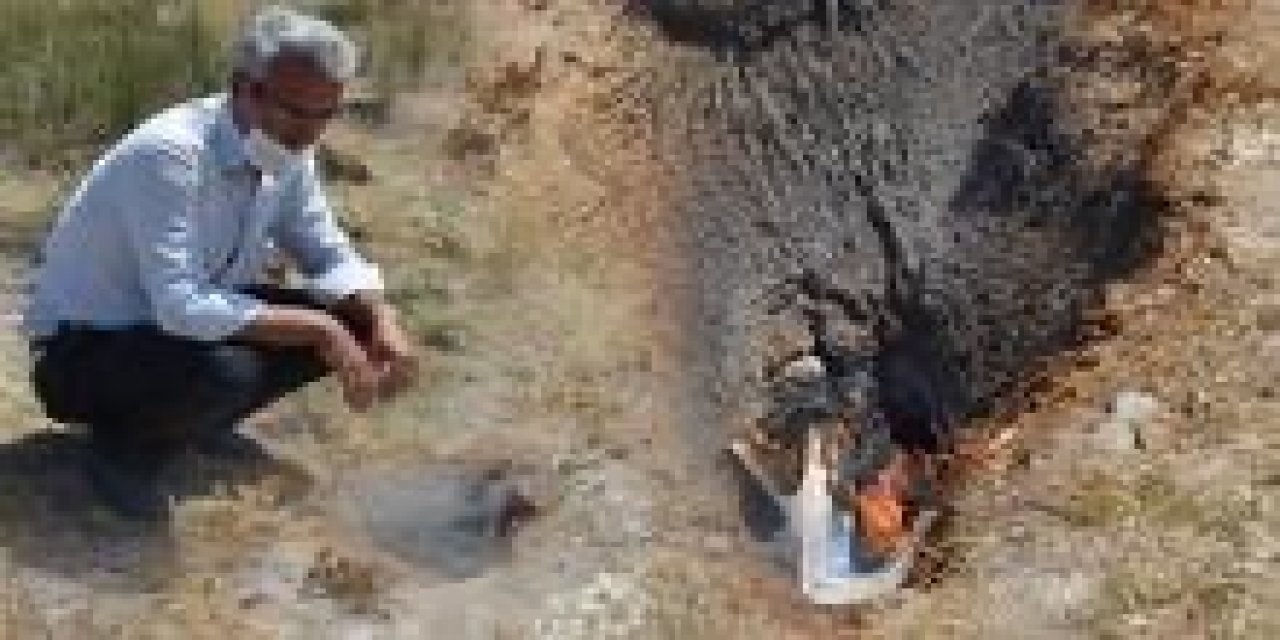 Karapınar'da toprağın altındaki metan gaz kaynaklı ateş paniğe neden oldu