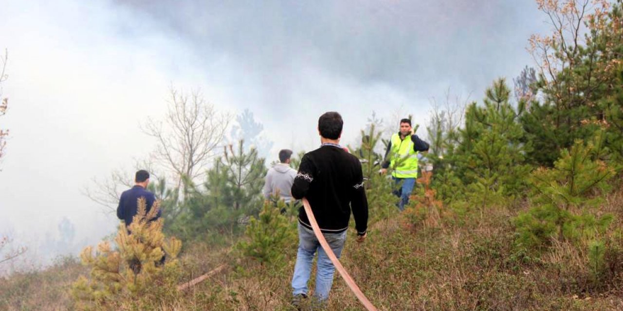 Kastamonu'da iki orman yangını