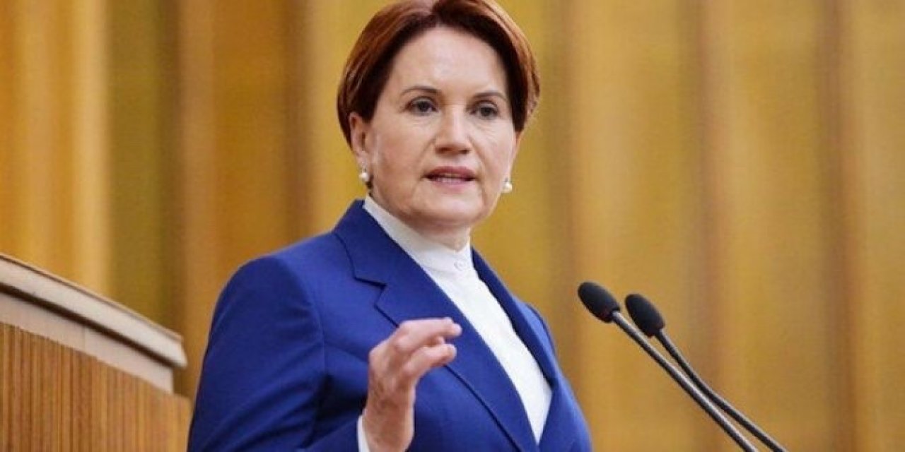 Akşener: Kaynakları doğru kullanırsak ülkemizin zenginliği herkese yeter