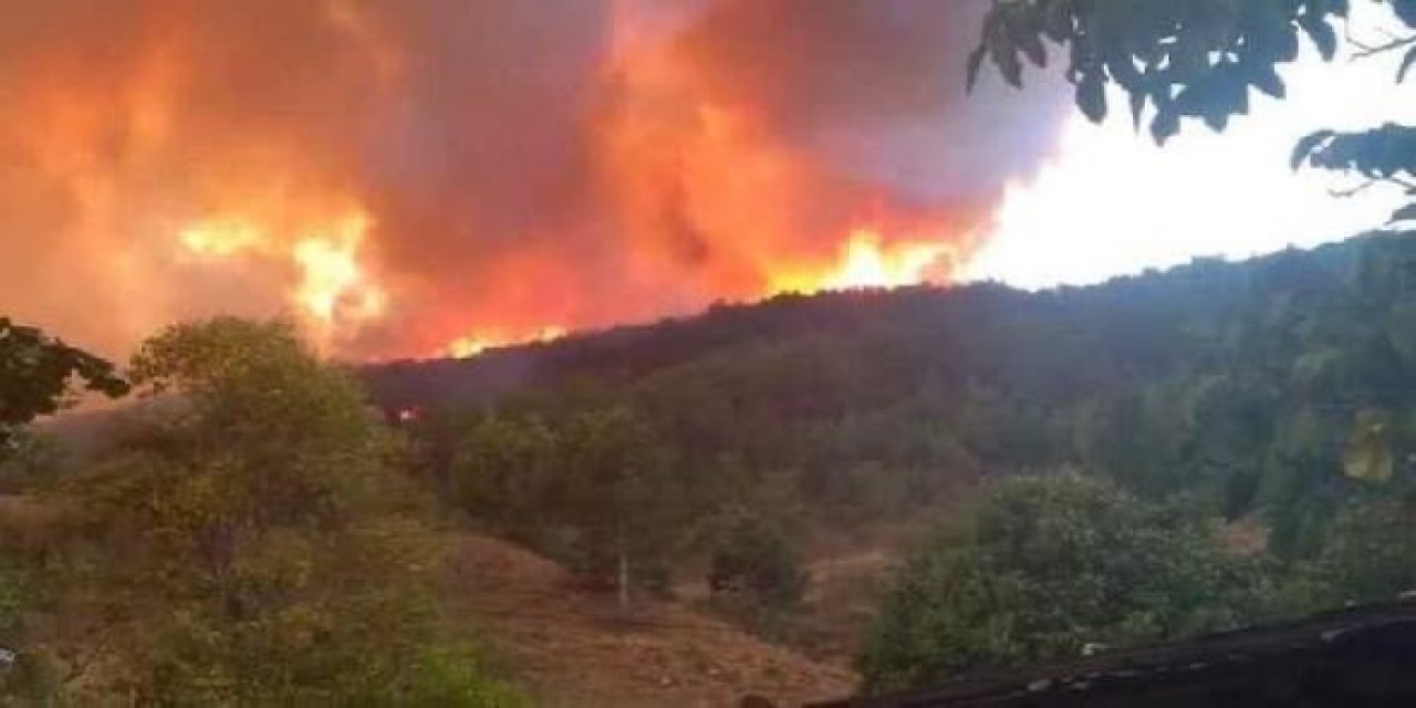 Kastamonu'daki  orman yangınlarını söndürme çalışmaları devam ediyor.