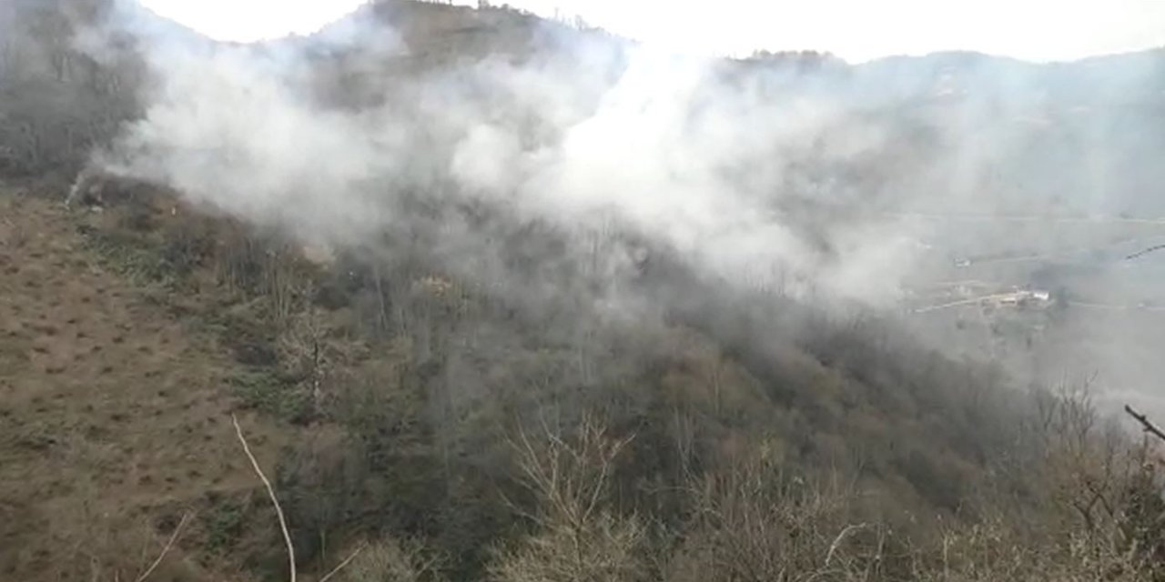 Ordu'da örtü yangını