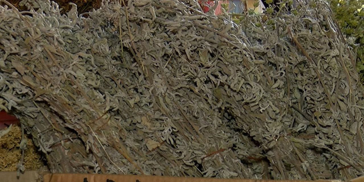 Ada çayının koronaya karşı etkinliği ortaya çıktı! Tedavi edici olduğu ispatlandı...