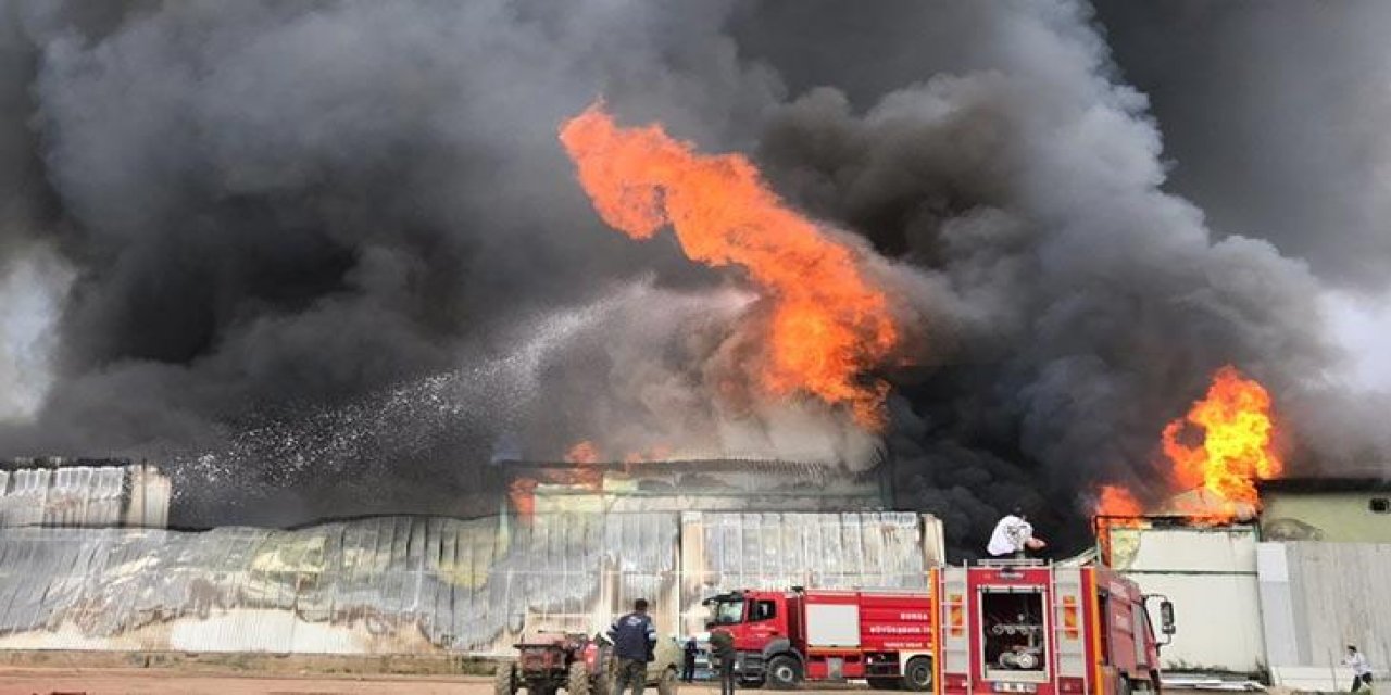 Bursa'da soğuk hava deposunda yangın