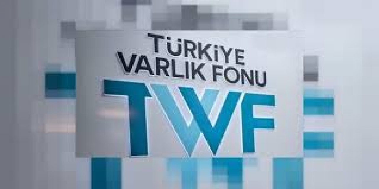 Varlık fonu borç fonuna döndü! Gider, gelirden fazla: Kurtaramayacak!