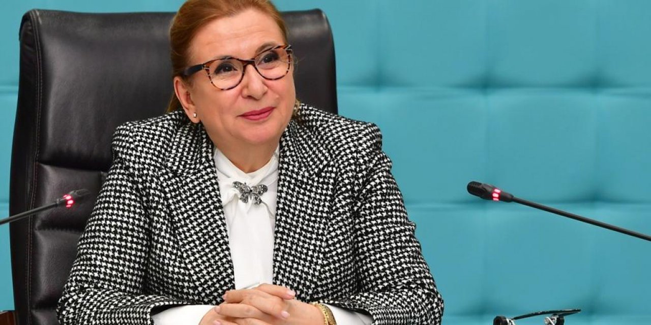 Bakan Pekcan: Gelir kaybı ve kira desteğine 2 milyondan fazla başvuru yapıldı