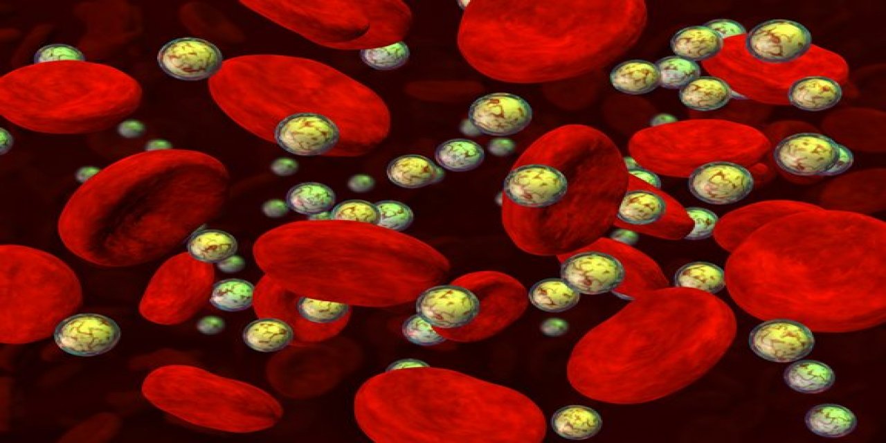 Alman doktordan kan donduran doping itirafı!