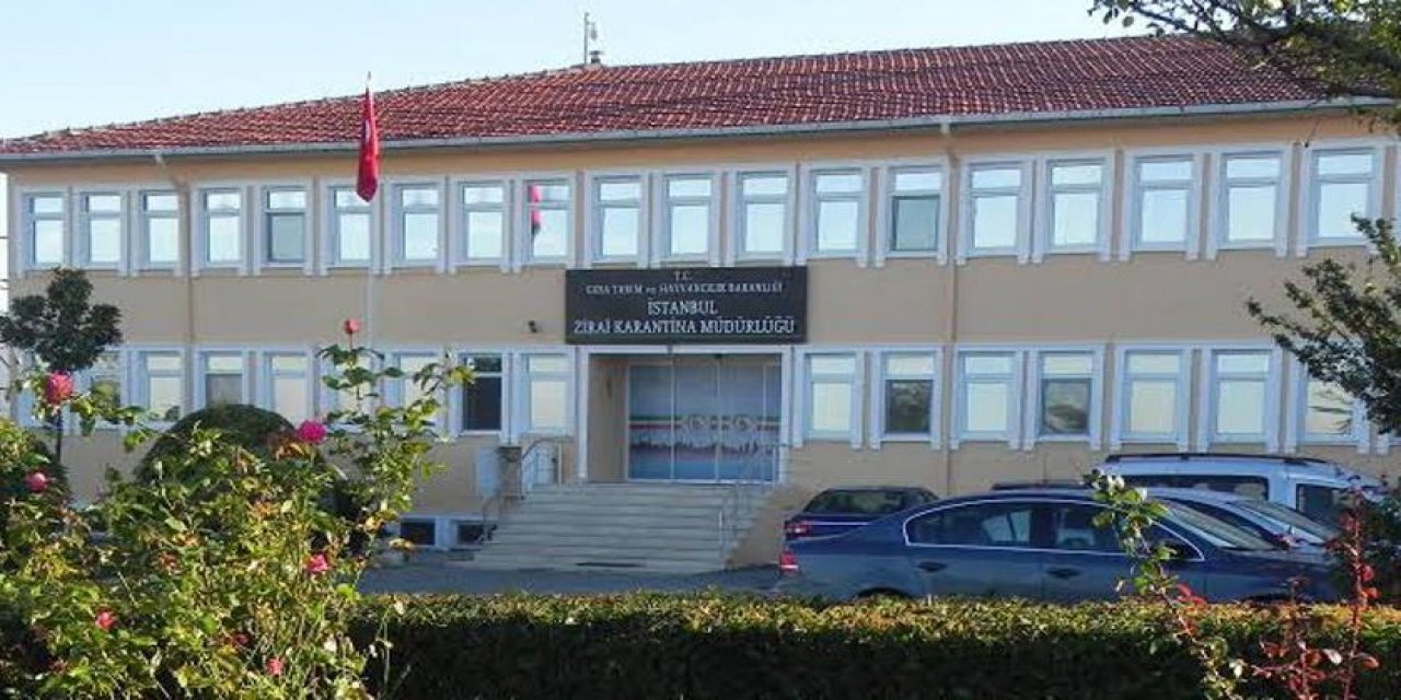 Karantina binası Bilal Erdoğan’ın vakfına tahsis edildi! İlmi değil GDO’YU yayacaklar...