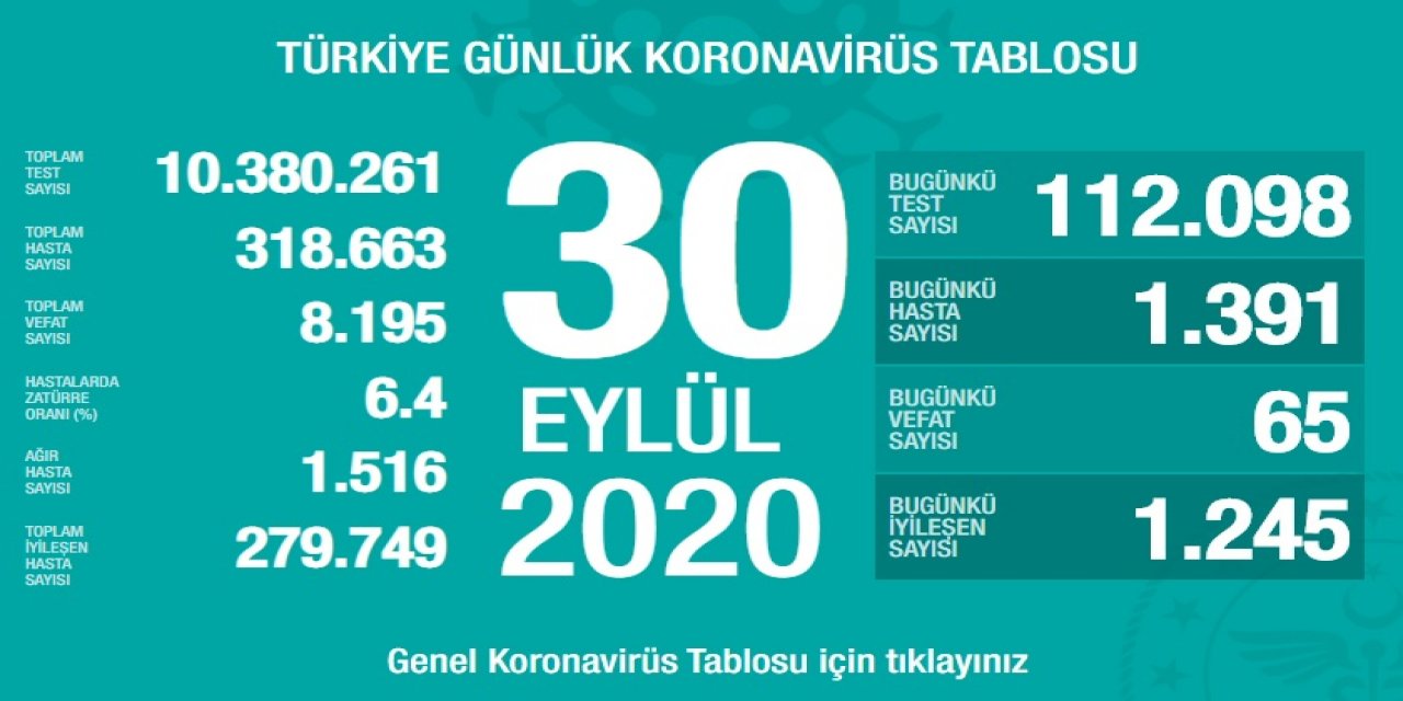 Türkiye'de koronavirüsten 65 kişi daha hayatını kaybetti! 1391 yeni hasta var