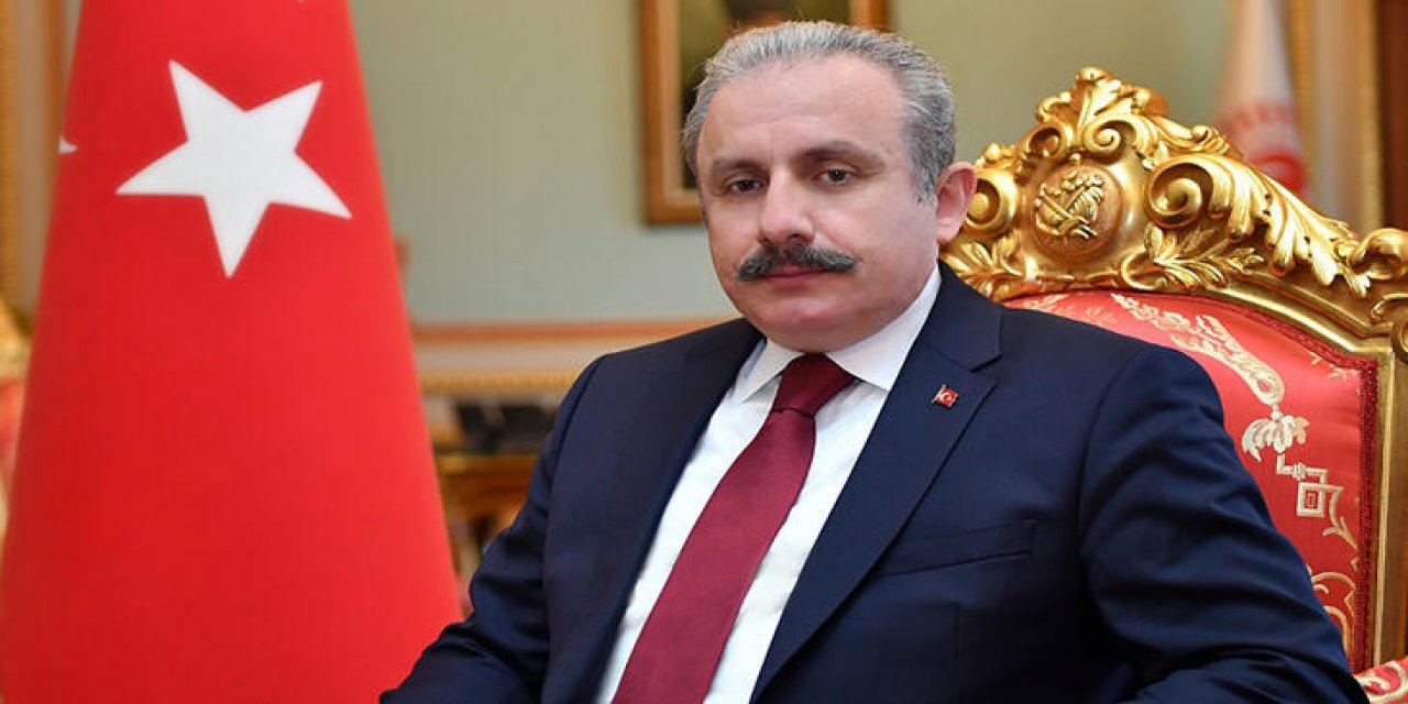 Muhalefetin eleştirilerini kabul etti! Meclis Başkanı Şentop'tan Erdoğan itirafı!