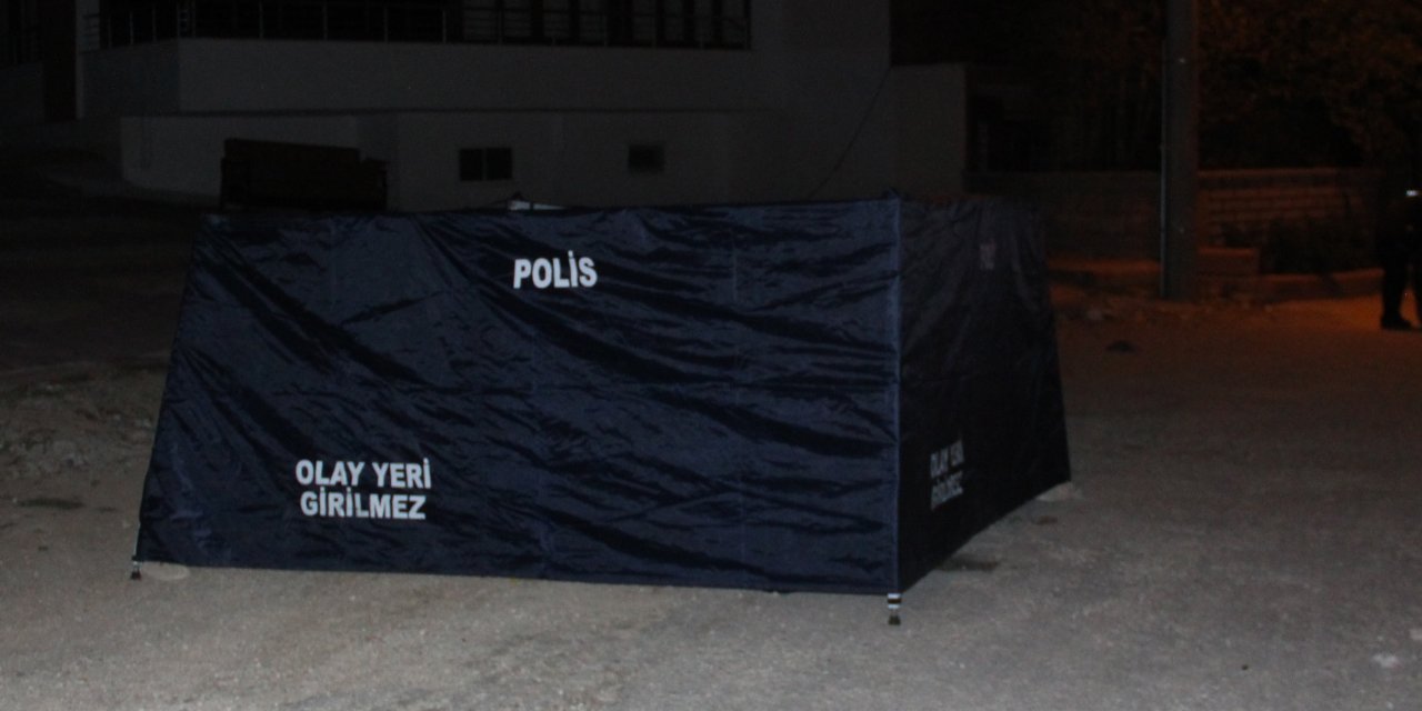 Genç kadın birlikte yaşadığı sevgilisini öldürdü