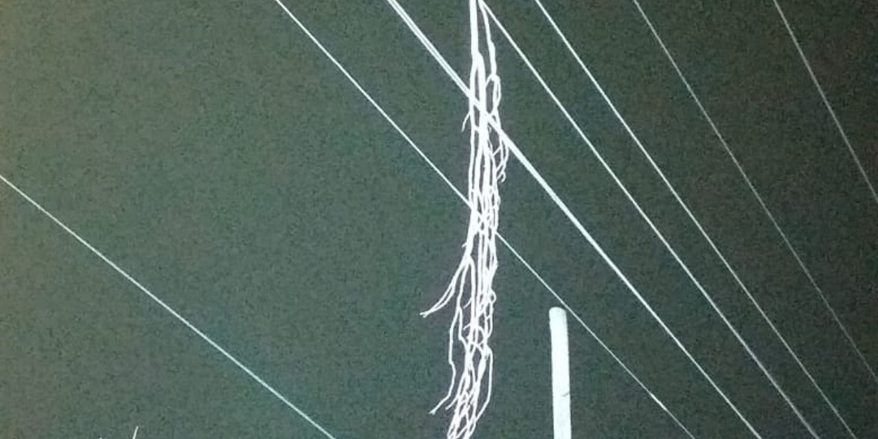 Elektrik akımına kapılıp hayatını kaybetti