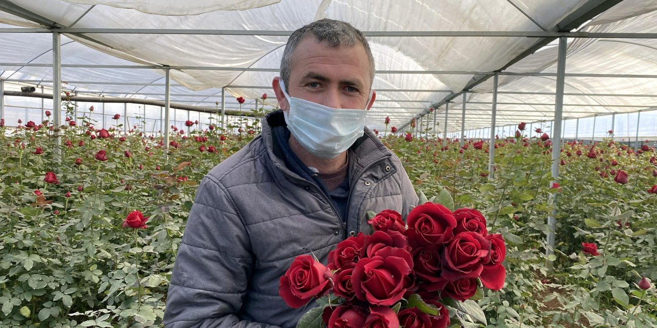 'Zirai Don' uyarısı geldi, gül seralarında sobalı nöbet başladı