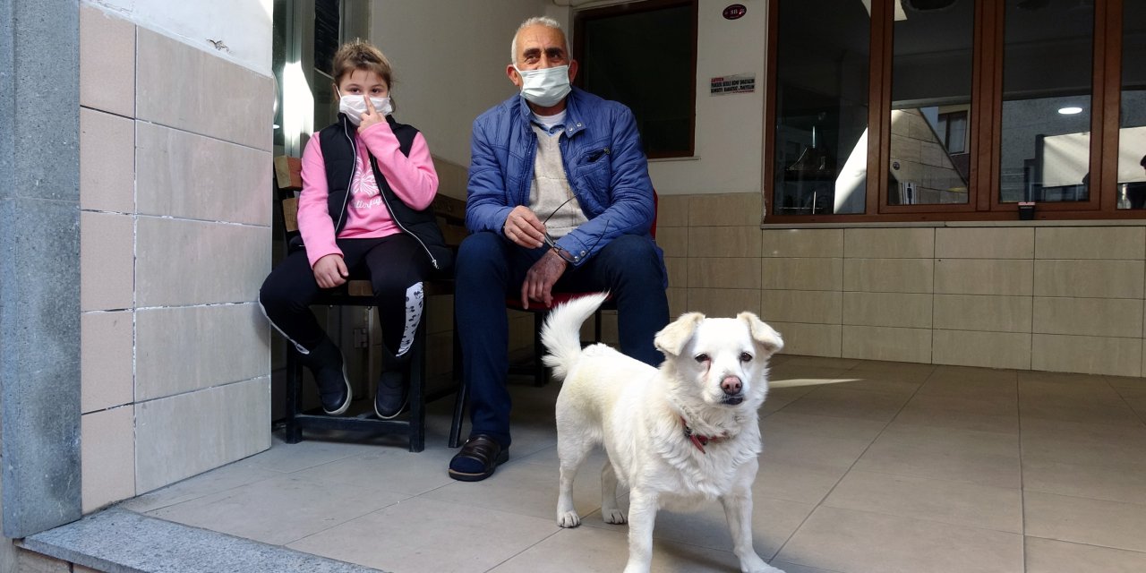 Dünya basınına manşet olan köpek, Trabzon�un �Hachiko�su oldu