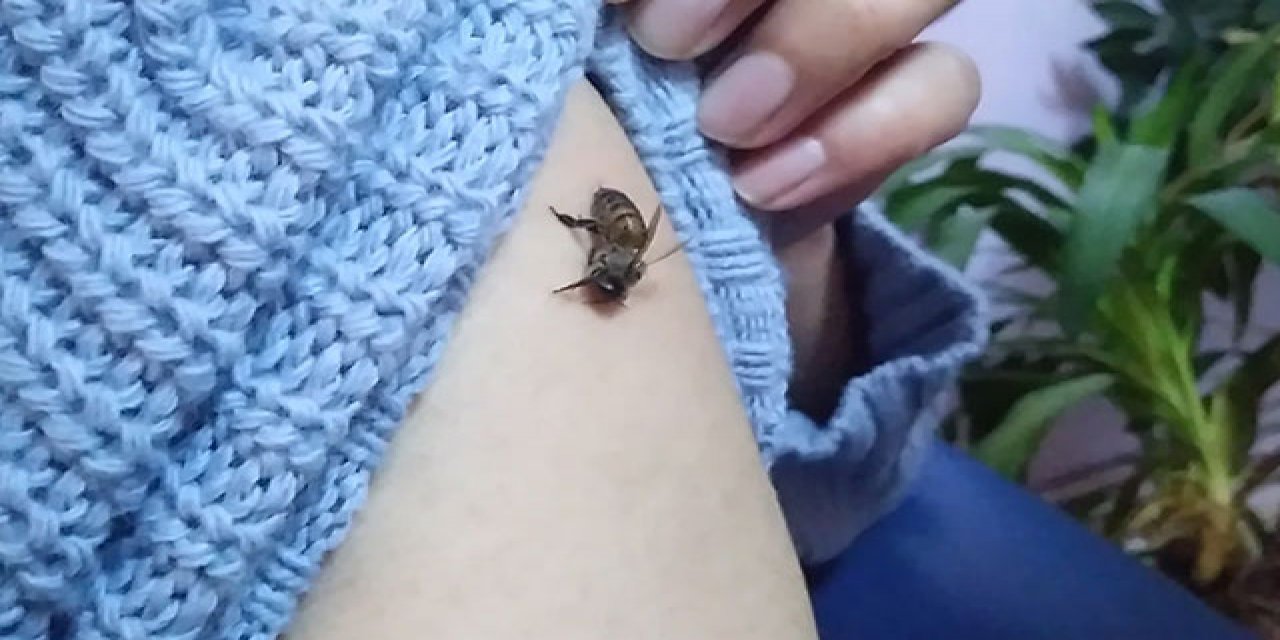 Bunu sakın yapmayın... Koronavirüse iyi geldiği söylenen yönteme karşı uzmanlar uyardı: Ölüme neden olabilir