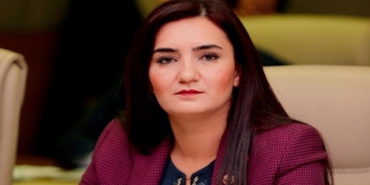 CHP'li Sevda Erdan kılıç, “Başta beşli çete olmak üzere nice holdinglerin Milyonluk  vergileri affedilirken, Romanların elektriği polis eşliğinde kesildi