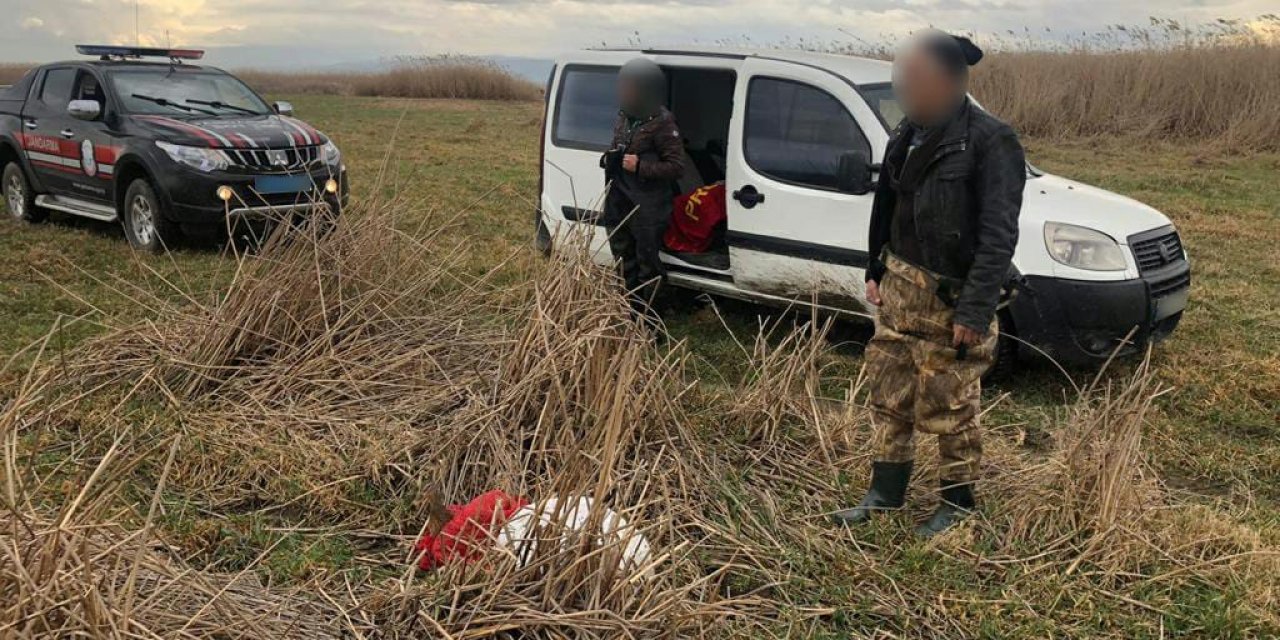 Jandarma, kaçak avcıların 'mühre' olarak kullandıkları ördekler ile silahlarına el koydu