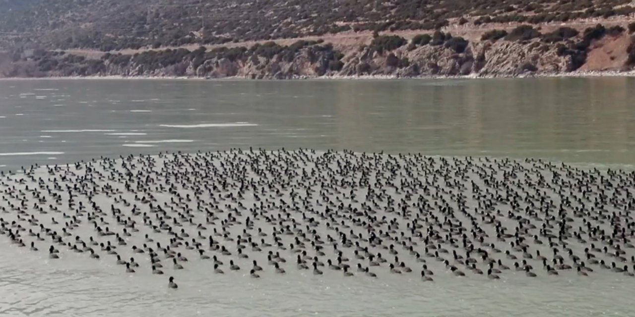 Batı Akdeniz'deki sulak alanlar hayran bıraktı
