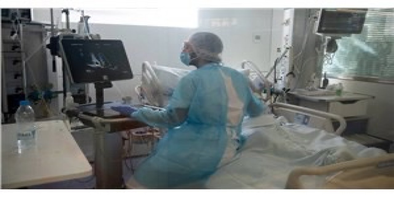 İlaç ile ilgili yayımlanan makalenin ardından PharmaMar'ın Madrid borsasındaki hisseleri yüzde 21 yükseldi: İlacın Covid-19'a karşı antiviral etkisinin olduğu bildirildi. 