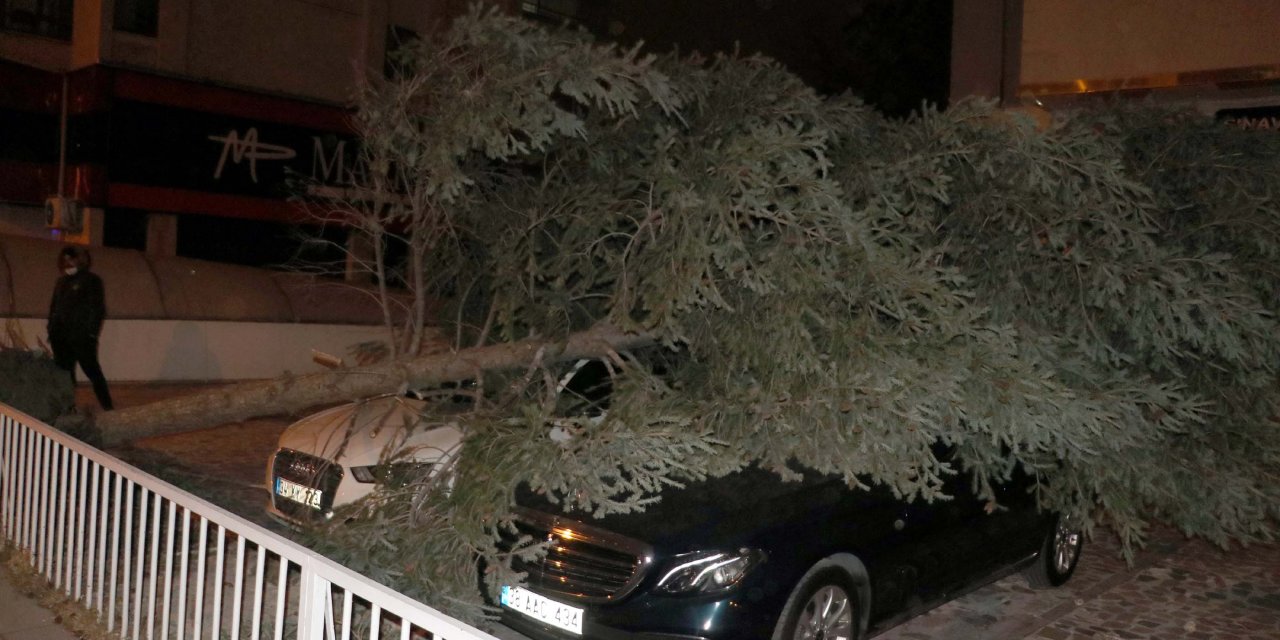 Kayseri'de şiddetli rüzgar ağaçları devirdi, çatıları uçurdu