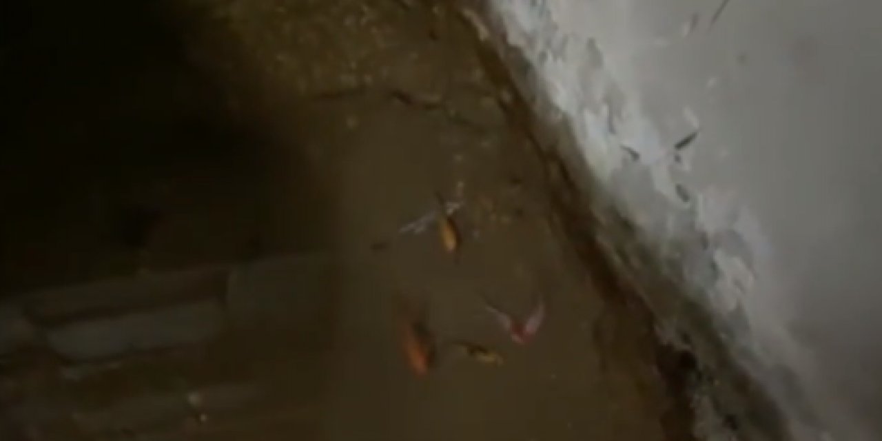Görüntüler şoke etti! Canlı balık çıktı... Medikal ürünlerin saklandığı depoya baskın!