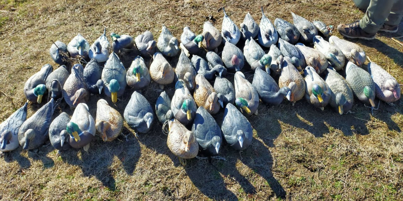 Milli parkta kayık ve plastik ördeklere el konuldu, 2 kişiye 160 bin TL ceza