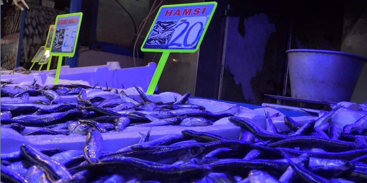 Hamsi avı yasağı uzadı, tezgahları farklı balıklar süsledi