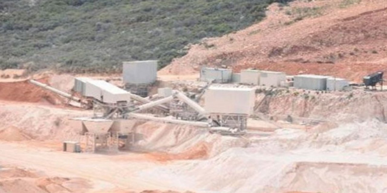 Binlerce ağaç kesilecek, canlılar zarar görecek Kırklareli'de doğa katliamı!