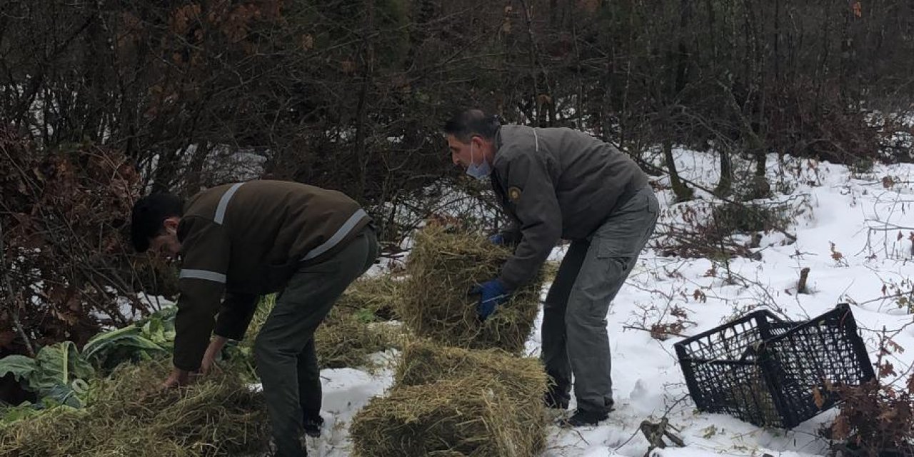 Tekirdağ'da yaban hayvanları için doğaya 4,5 ton yem bırakıldı