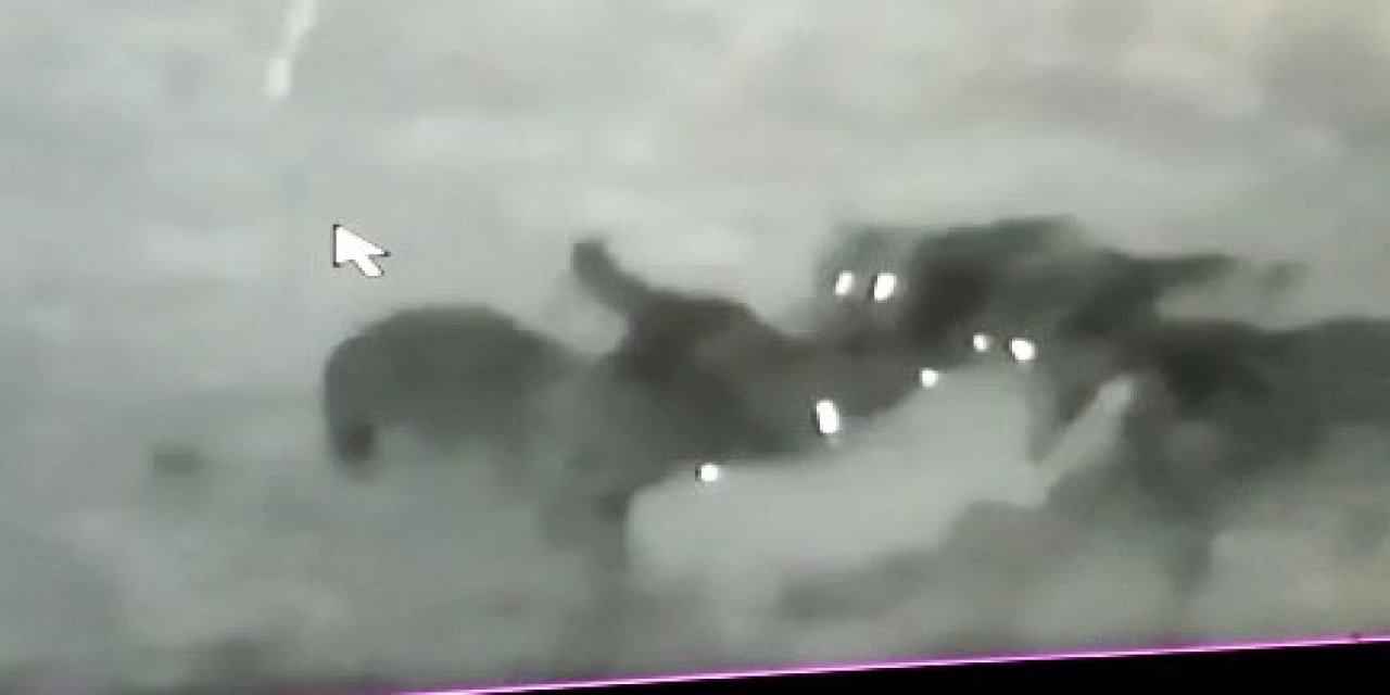 Kurtlar Kangal köpeğinin canını aldı