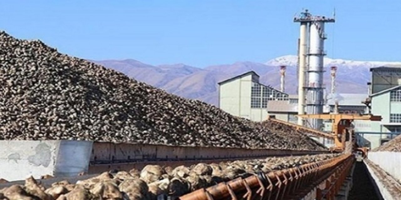 Her şeyi satıyorlar; Fabrikalar'dan sonra arsalarda satılıyor!