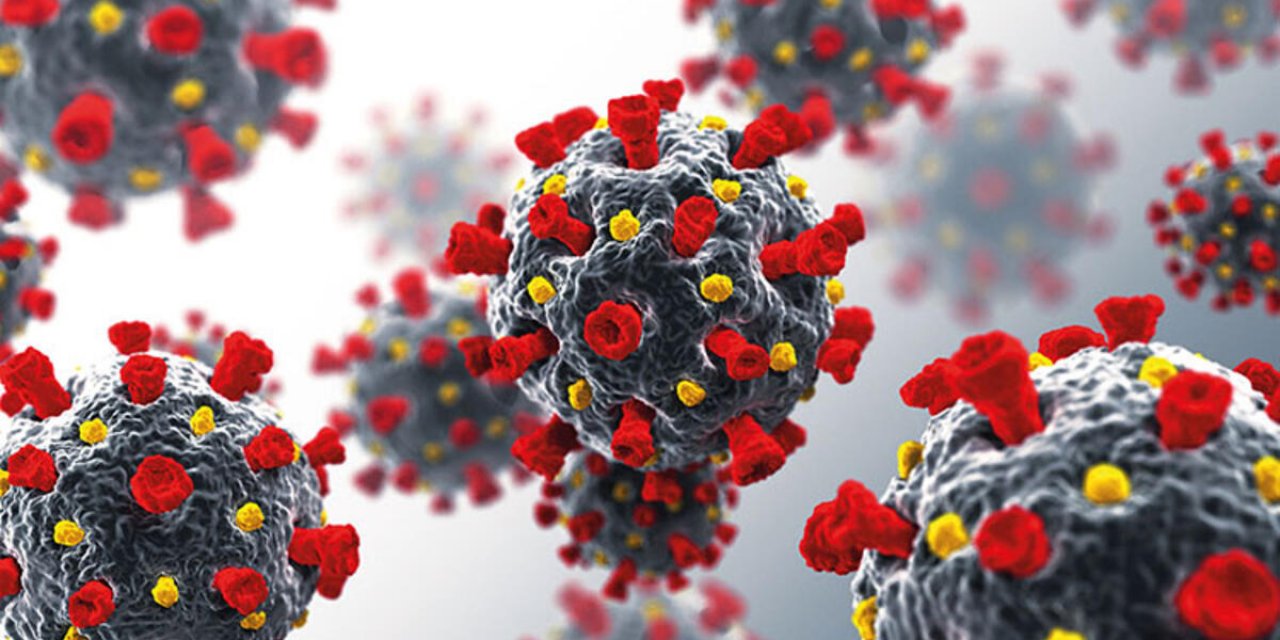 Mutant virüs mutasyona uğradı!