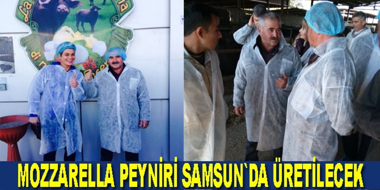 SAMSUN BAFRA'DAN İTALYAN PEYNİRİNE RAKİP ÇIKTI