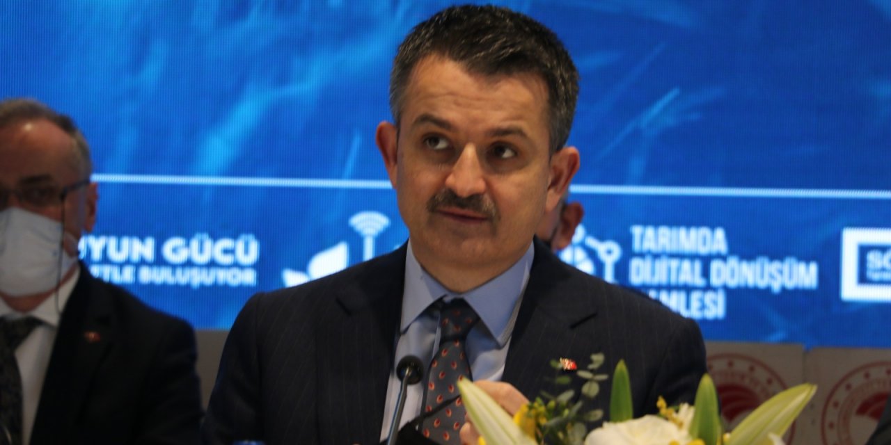 Karadeniz’de hamsi avı ek tedbirlerle başlayacak
