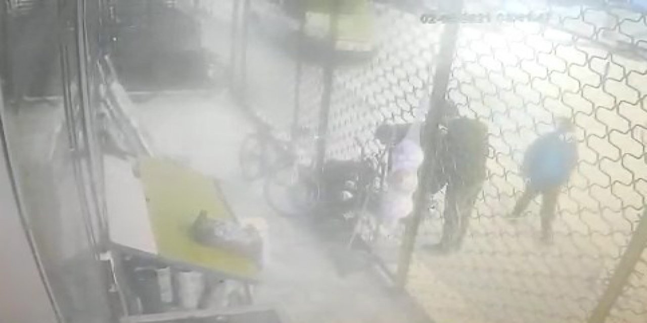 Kadının, sokak köpeklerinin saldırısına uğradığı anlar kamerada