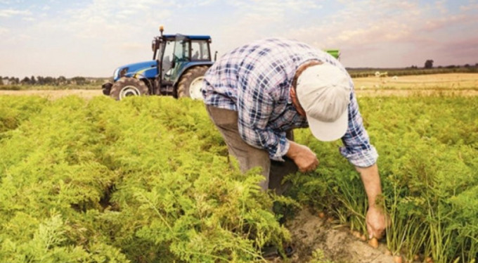 TOBB'dan gıda fiyatlarını düşürecek 5 öneri