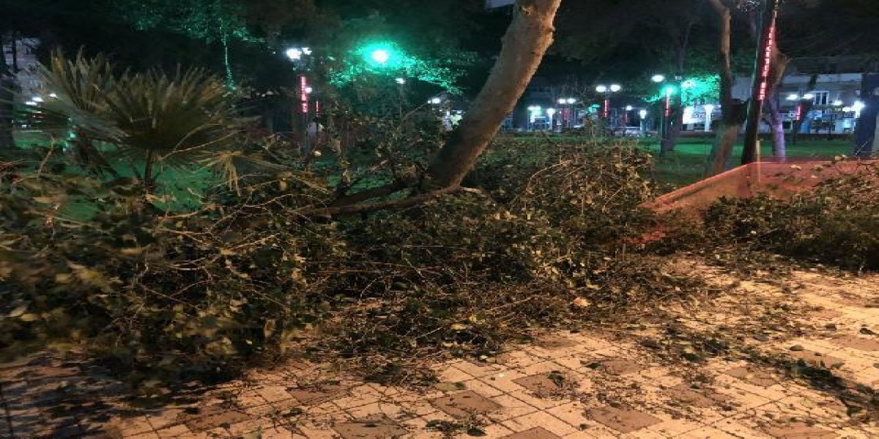 Şiddetli fırtına nedeniyle otomobilin üzerine ağaç devrildi