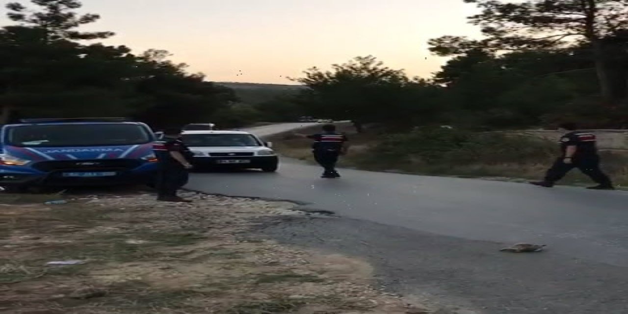 Uşak'ta hayvanları koruma gününde jandarma yürekleri ısıttı