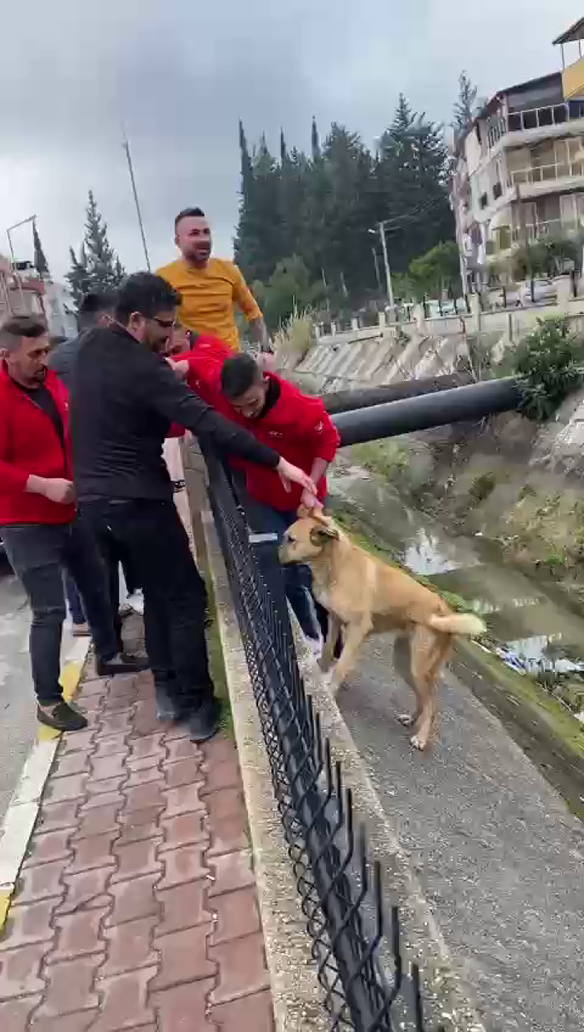 Kanala düşen köpek imece usulü kurtarıldı
