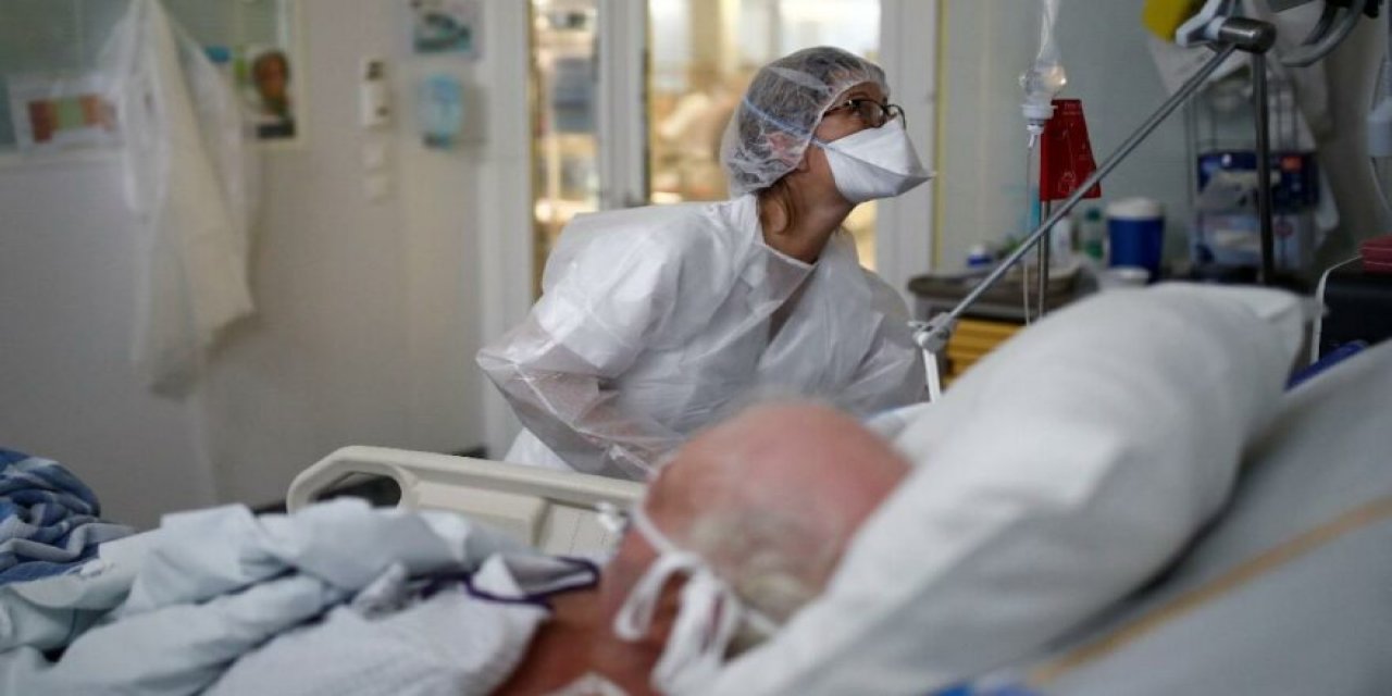 Mutasyon kabusu: 2 yeni tür daha ortaya çıktı