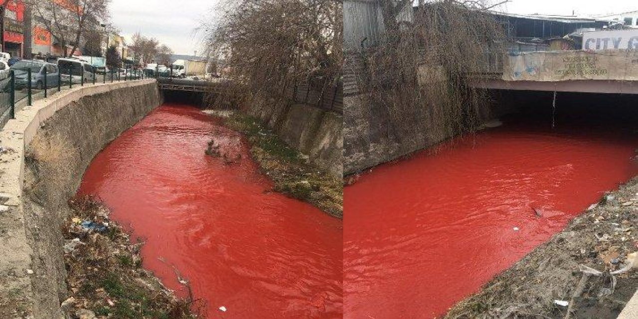 Ankara’da tedirgin eden görüntü! İnceleme başlatıldı...
