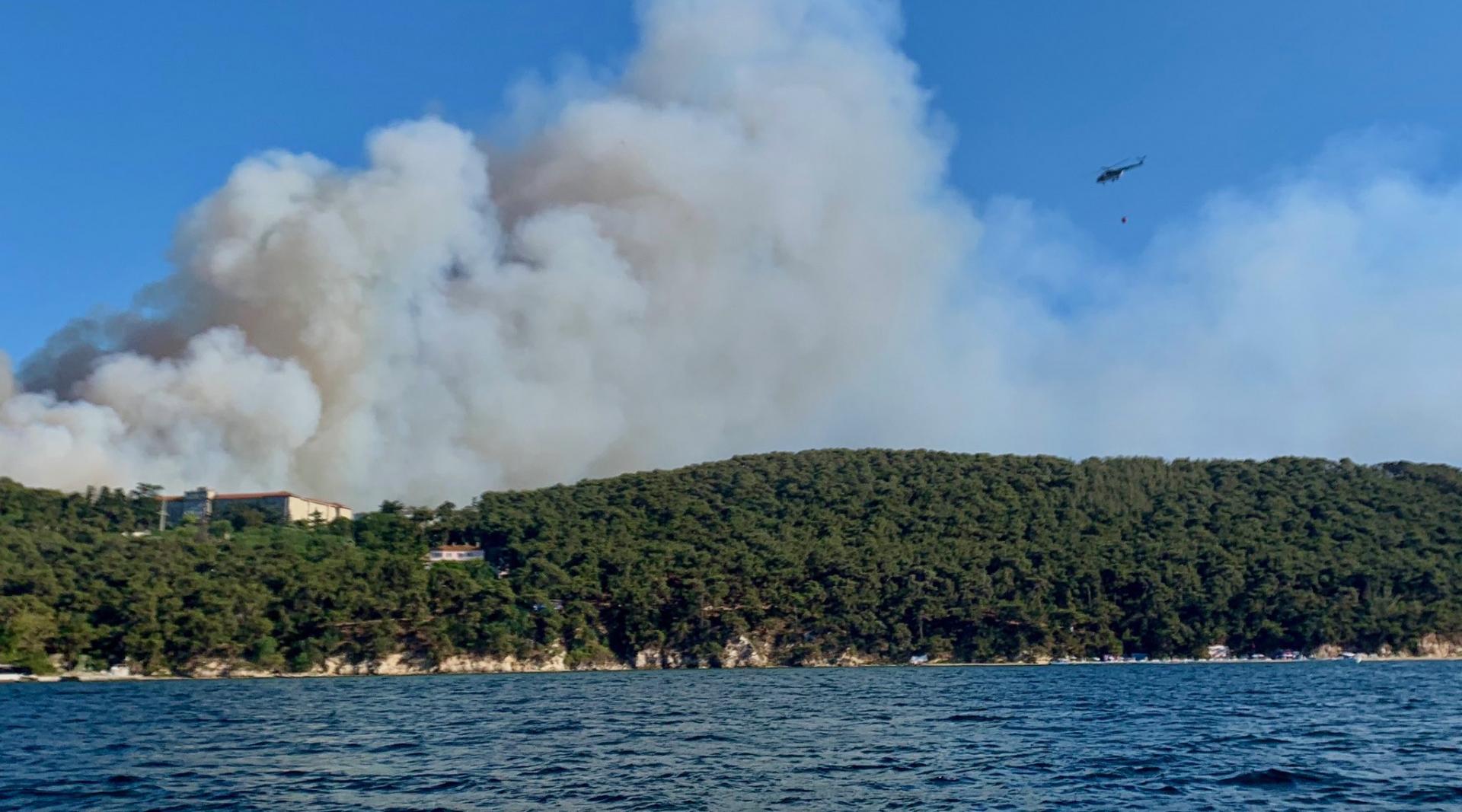 Heybeliada'da kasten orman yakan sanık hakkında yakalama