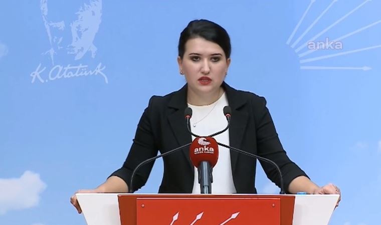CHP'li Gökçe Gökçen: Saraya göre herkes terörist!