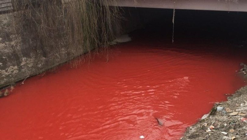 Ankara Çayı'nda korkutan görüntü