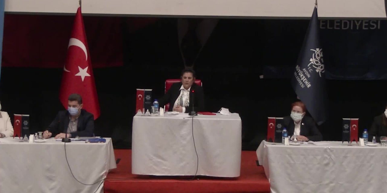 AKP ve MHP o heykeli istemedi! Aydın Belediye Meclisi'nde "8 Mart" tartışması...