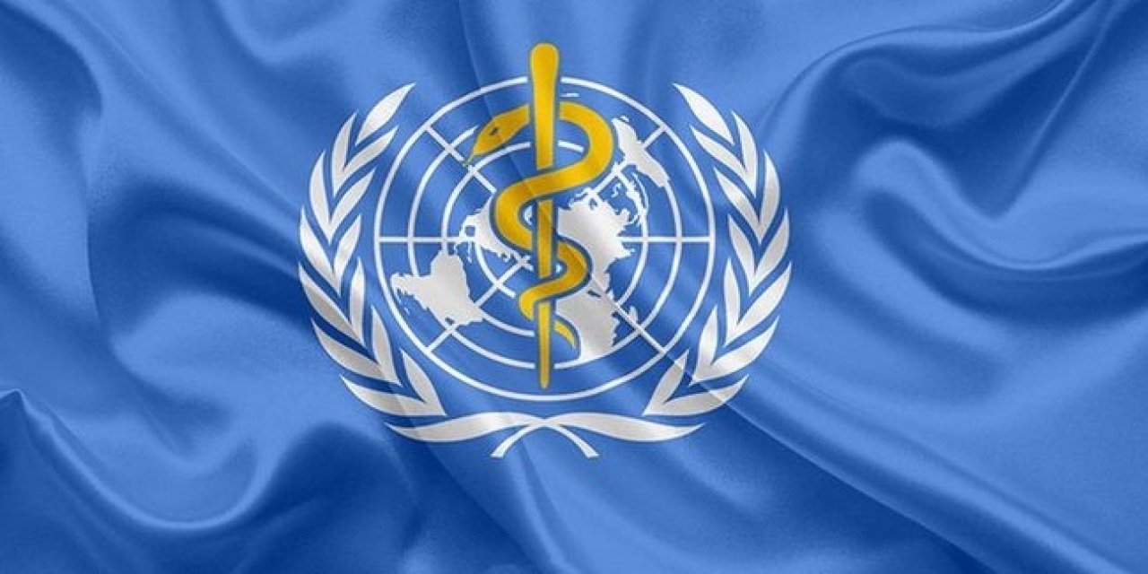 Dünya Sağlık Örgütü (DSÖ) Türkiye’nin Covid-19 mücadelesine yönelik rapor yayımladı.