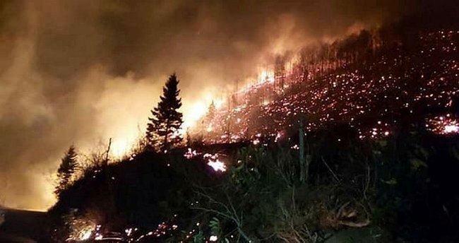 Trabzon'da orman yangını