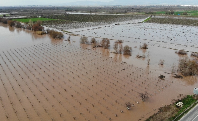 Sağanak yağış göz açtırmadı... Tarım arazileri sular altında kaldı