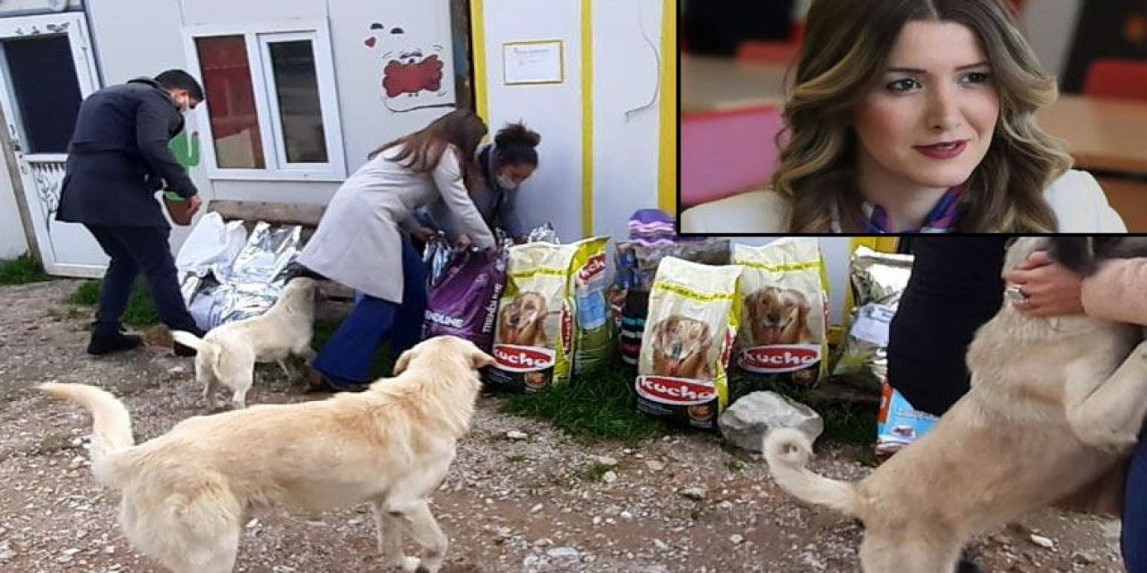 Camiden çalınan 'Çav Bella' yı paylaştı diyerek hakaret etmişlerdi... Hakaretleri sokak hayvanlarına yaradı