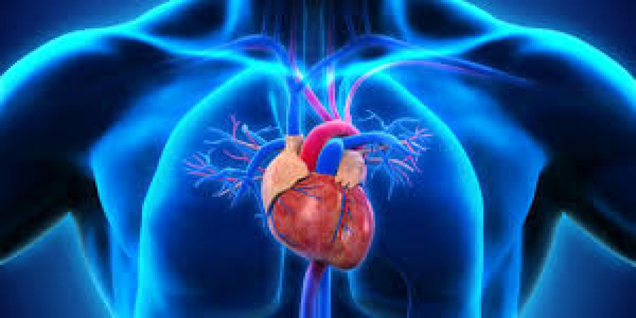 Sinsi hastalığa dikkat! Doğan Cüceloğlu'nun ölümüne neden olan "Aort damarı yırtılması" nedir? İşte ayrıntılar...