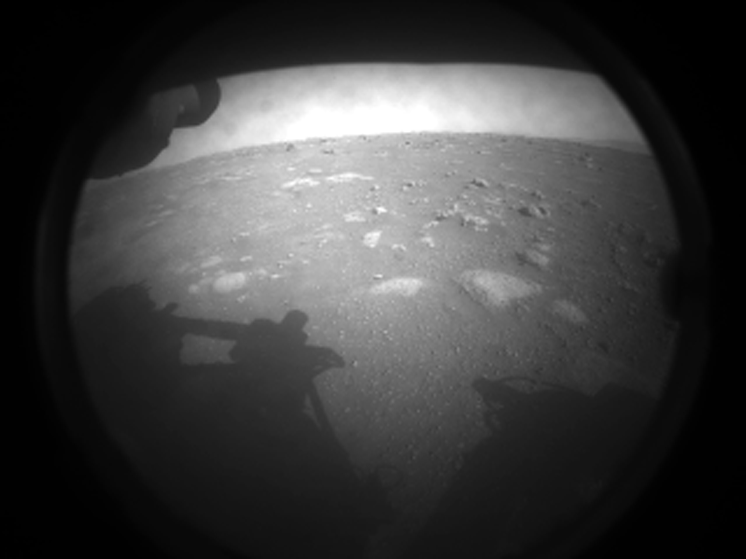 Perseverance Mars'a indi... Peki ya Mars'ta gerçekten yaşam olabilir mi?